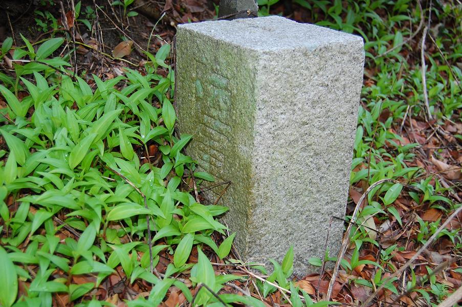 b0059978_1115297.jpg