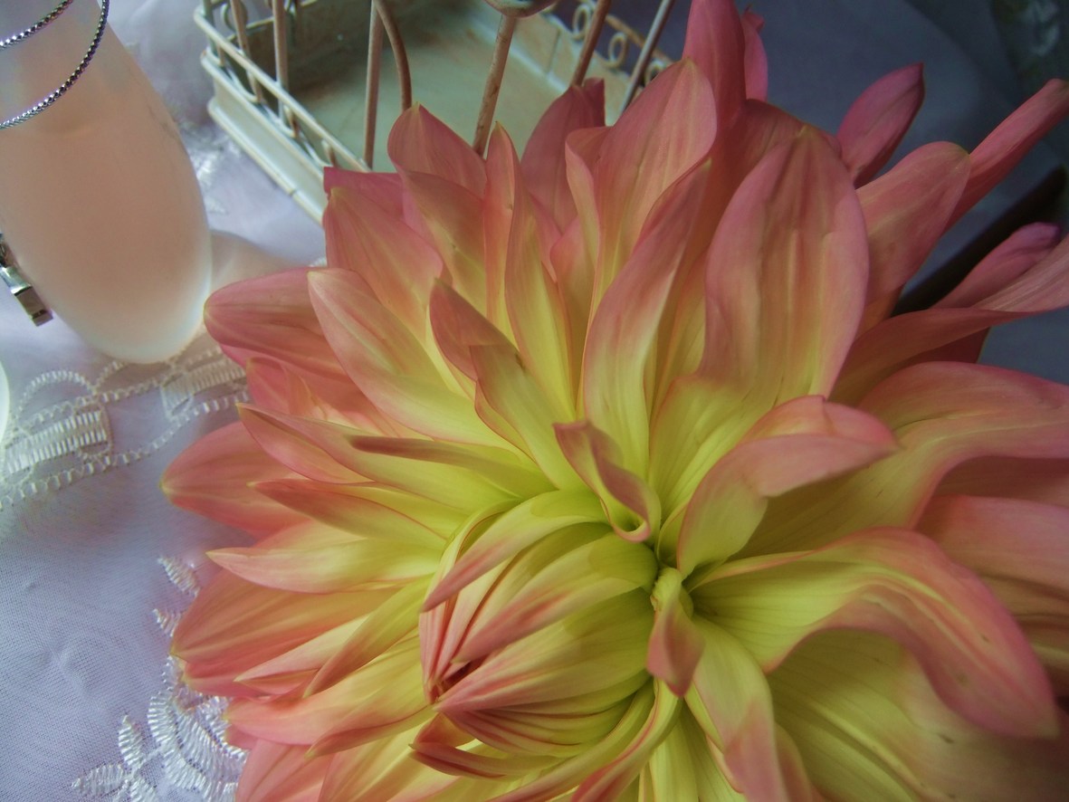 a0141979_93377.jpg