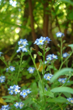 c0135480_15503214.jpg