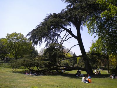 b0181081_5193145.jpg