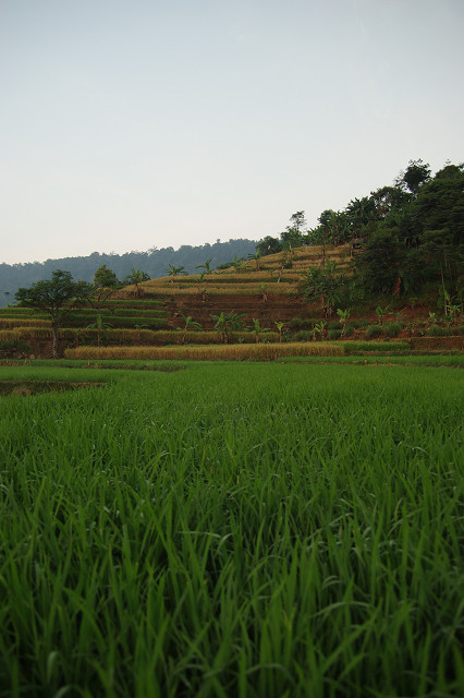b0170682_8255353.jpg