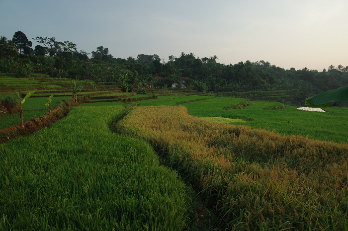 b0170682_8263395.jpg
