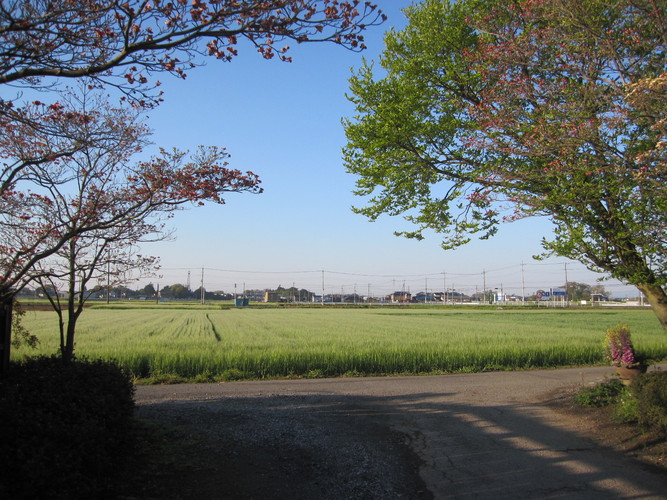 d0154685_10302341.jpg