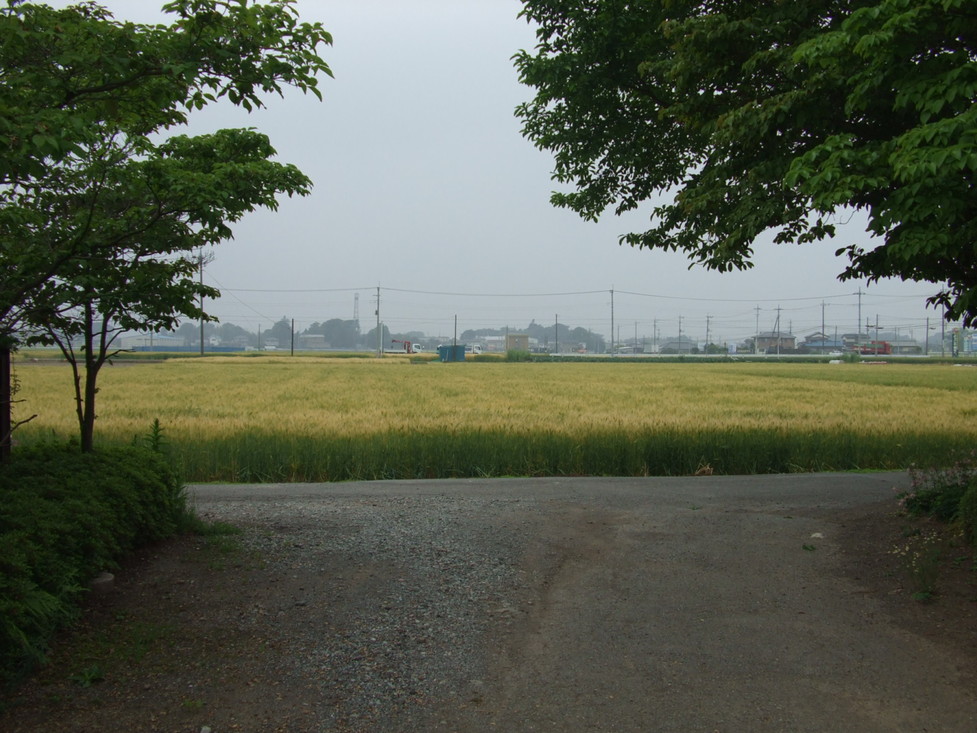 d0154685_105334100.jpg