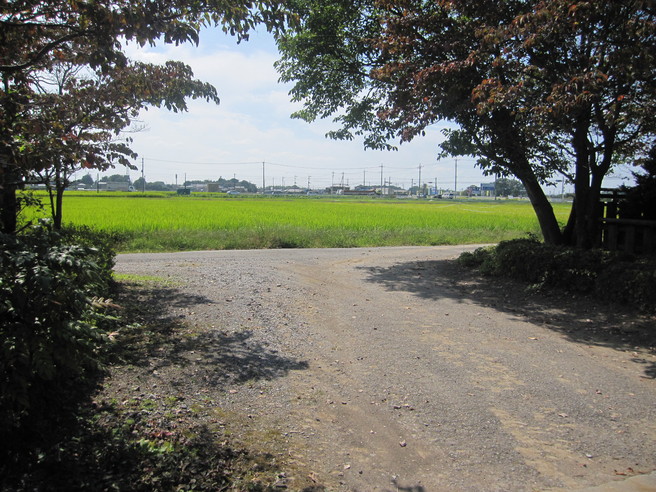 d0154685_11313320.jpg