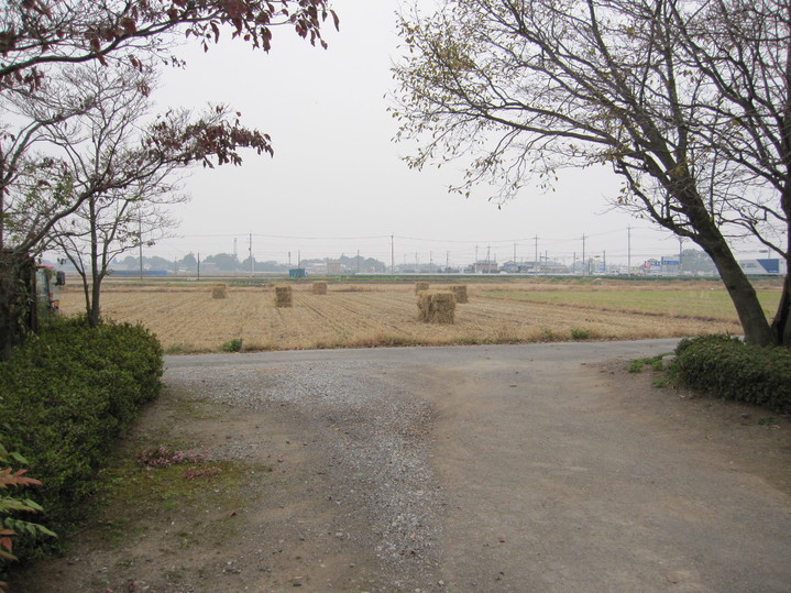 d0154685_1149416.jpg