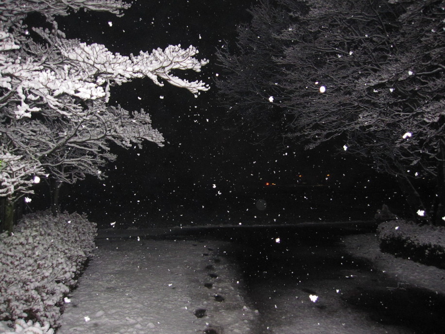 d0154685_12313128.jpg