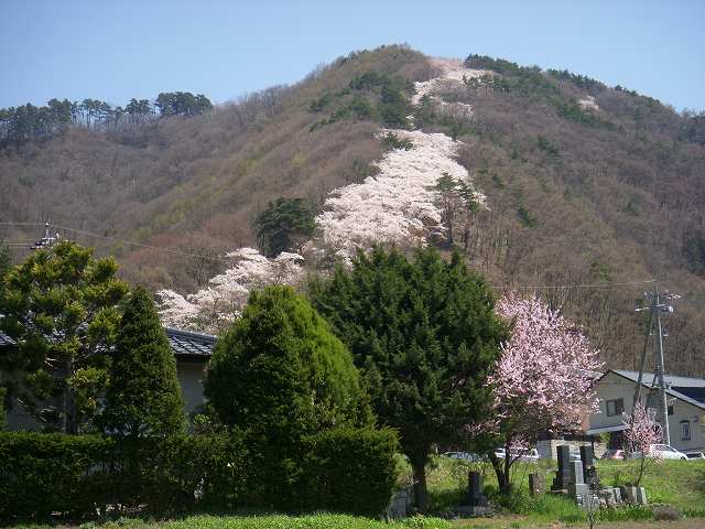 b0112186_2048343.jpg