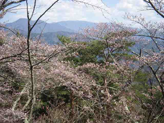 b0112186_20571130.jpg