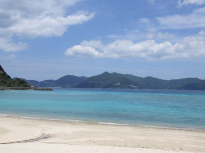 「奄美の自然を考える会」の皆様ご来島!_e0028387_2238934.jpg
