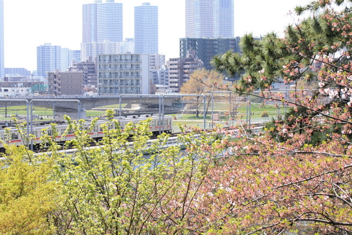 新緑の多摩川台公園より♪_e0195587_1915792.jpg