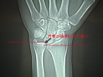 a0163788_17424435.jpg