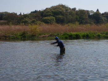 c0146788_1838882.jpg