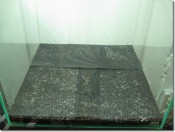 e0112088_1615724.jpg