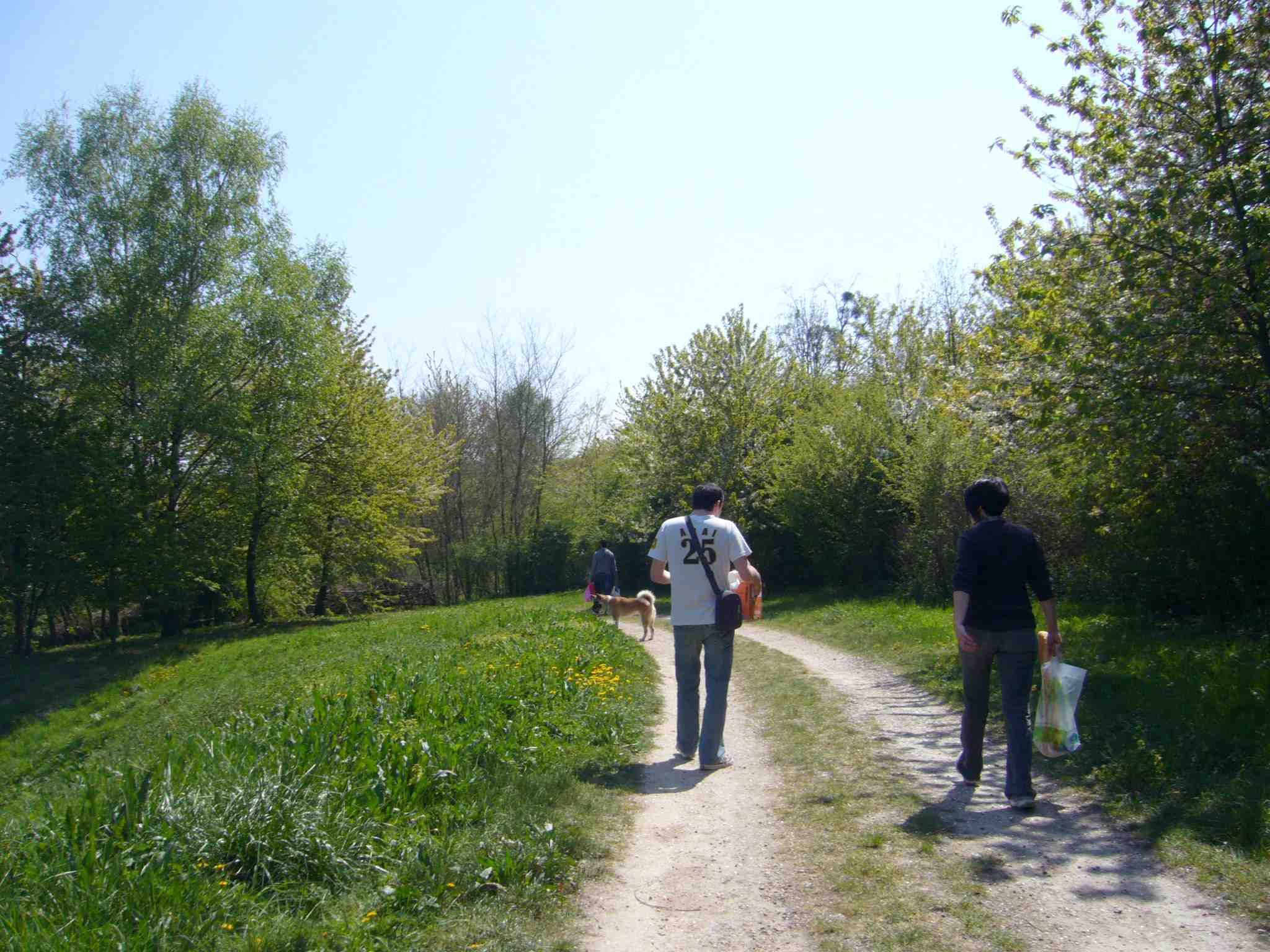 e0153088_67101.jpg
