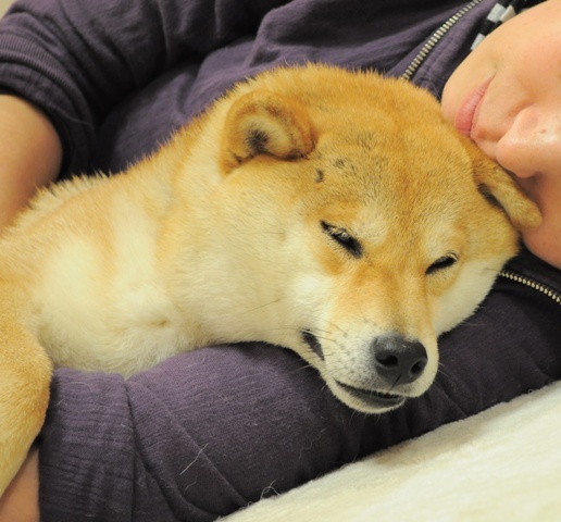 だらだら、だらり_a0126590_185081.jpg