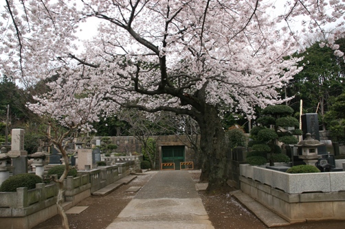 c0109090_15252810.jpg
