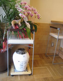 長崎から_a0129492_2110463.jpg
