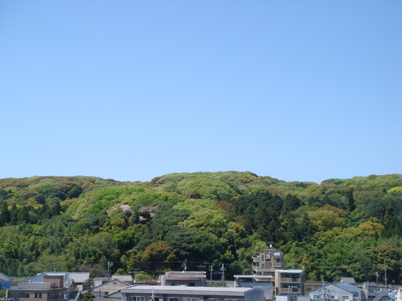 e0111793_21261921.jpg