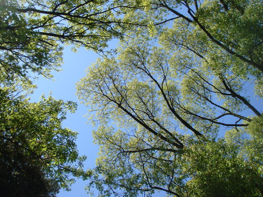 e0111793_21335483.jpg