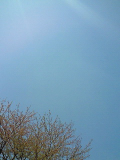 ボケボケ(笑)_d0091994_2102236.jpg