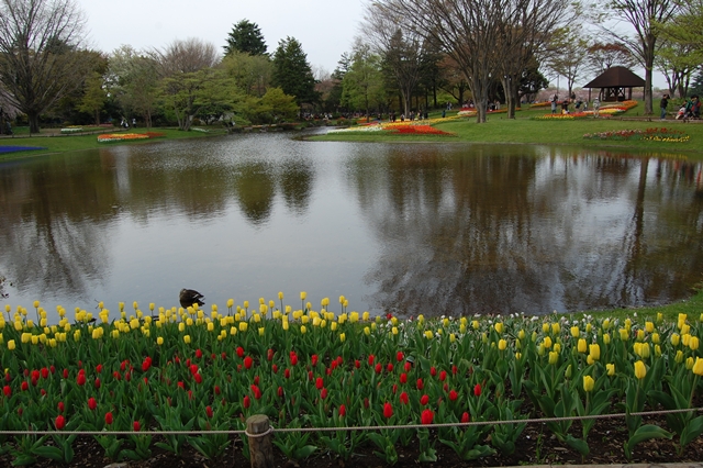 Flower Festival 2010 はるいろものがたり_a0155999_233527100.jpg