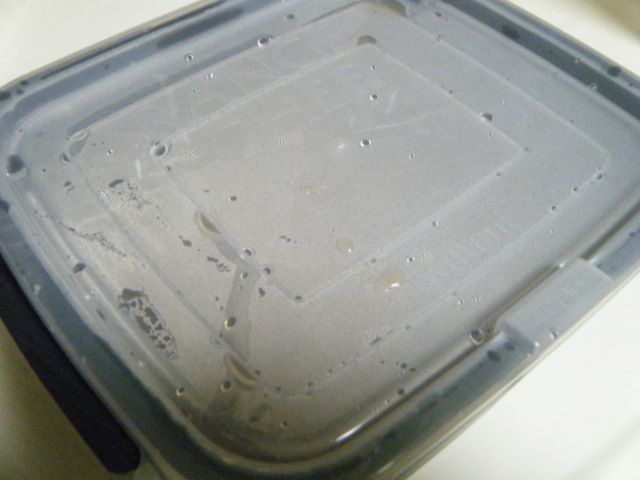 e0197302_124688.jpg