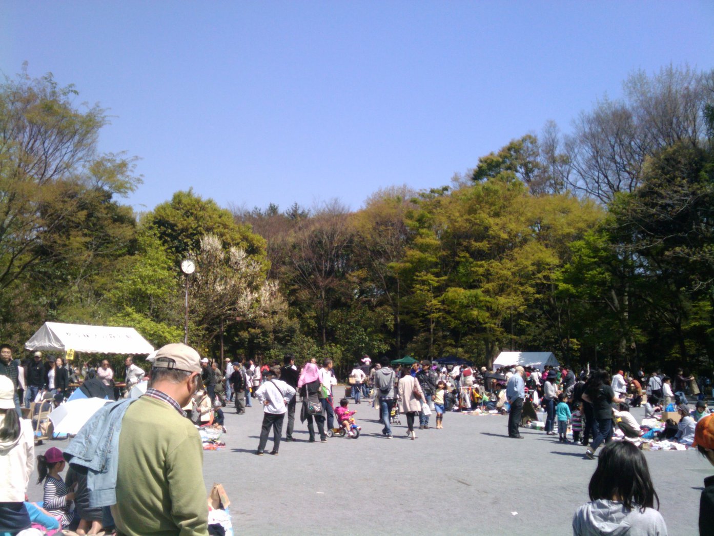 e0123104_6231736.jpg
