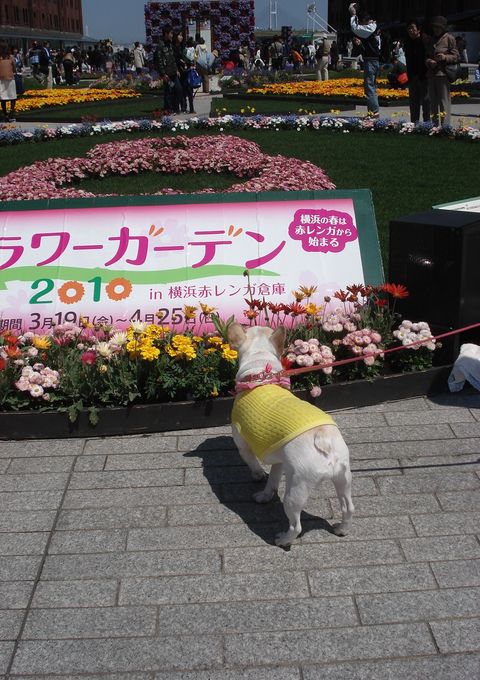 f0084806_2217092.jpg