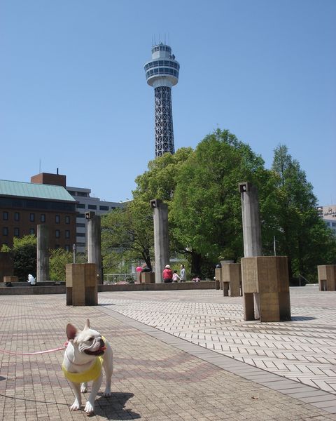 f0084806_848624.jpg