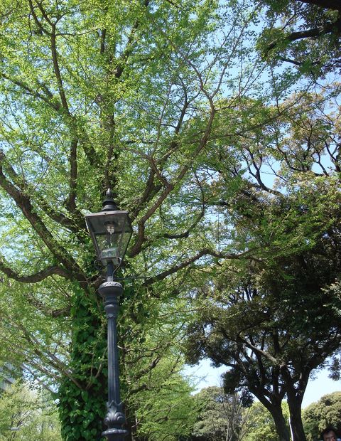 f0084806_9265741.jpg