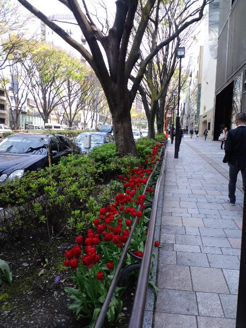 a0088007_2204513.jpg