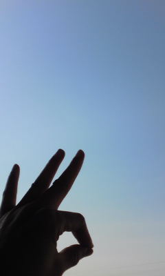 c0180209_74315.jpg
