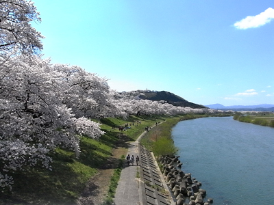 a0065611_1084781.jpg