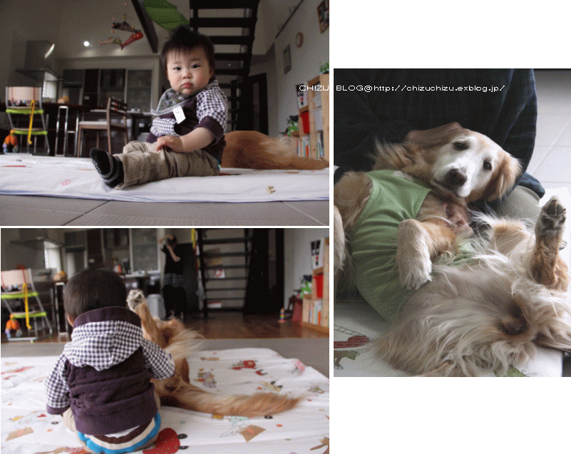 c0017311_21433625.gif