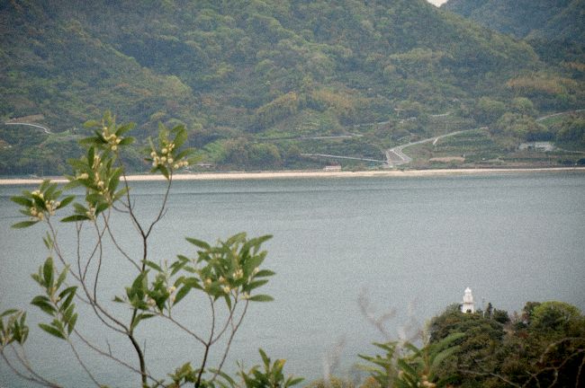 b0130112_20233477.jpg