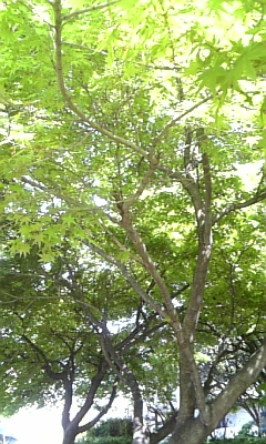 f0219716_22502848.jpg