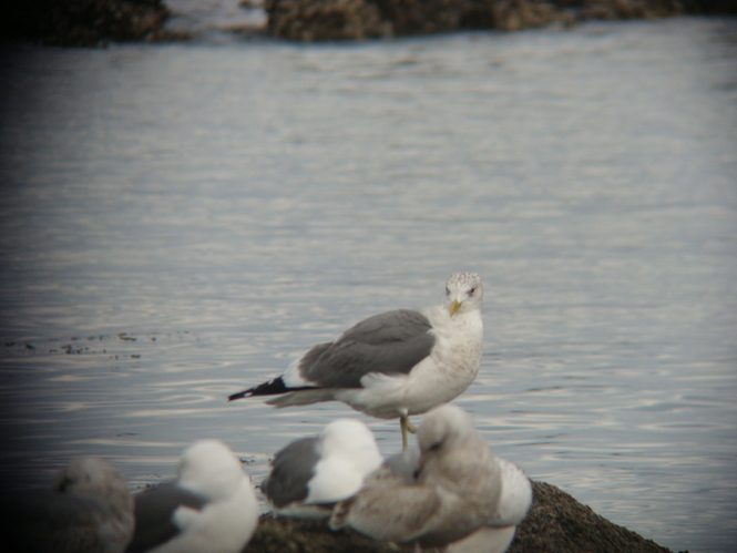 20100326 Miura peninsula_f0209518_1853686.jpg