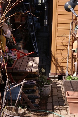 f0170524_20131611.jpg