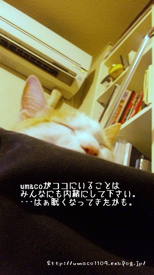 a0165526_22134522.jpg