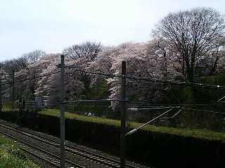 d0009833_18265750.jpg