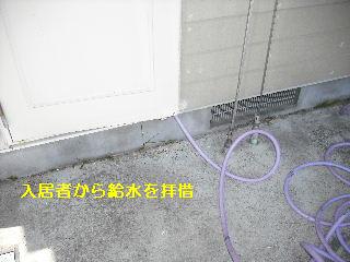 塗装工事3日目_f0031037_205551100.jpg