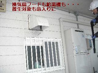 塗装工事3日目_f0031037_20571980.jpg