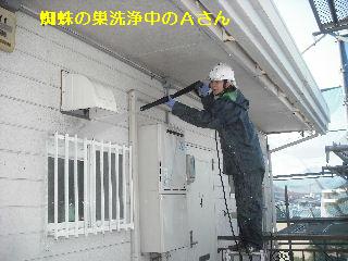塗装工事３日目_f0031037_2057666.jpg