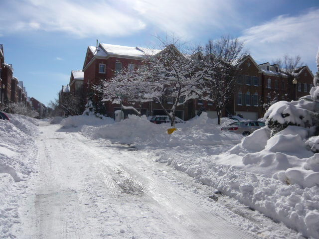 a0040739_8423088.jpg