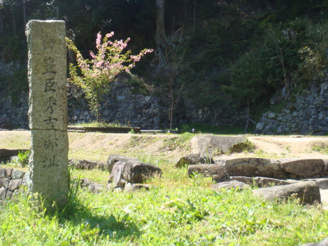 b0105441_13431462.jpg