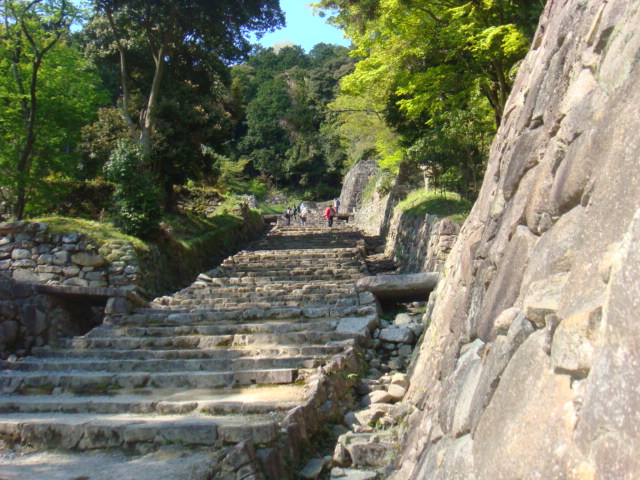 b0105441_13435344.jpg