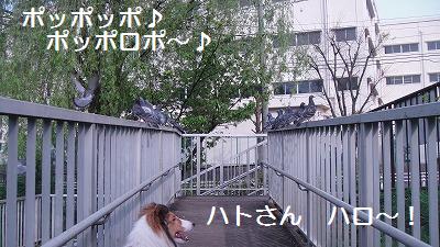 観察されている?!@お池の公園_e0195743_12532376.jpg