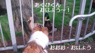 観察されている?!@お池の公園_e0195743_1253687.jpg