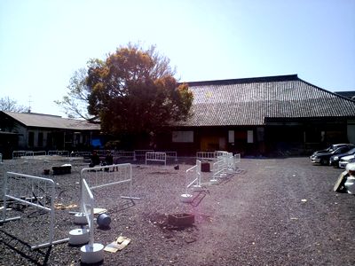 b0113846_1429797.jpg